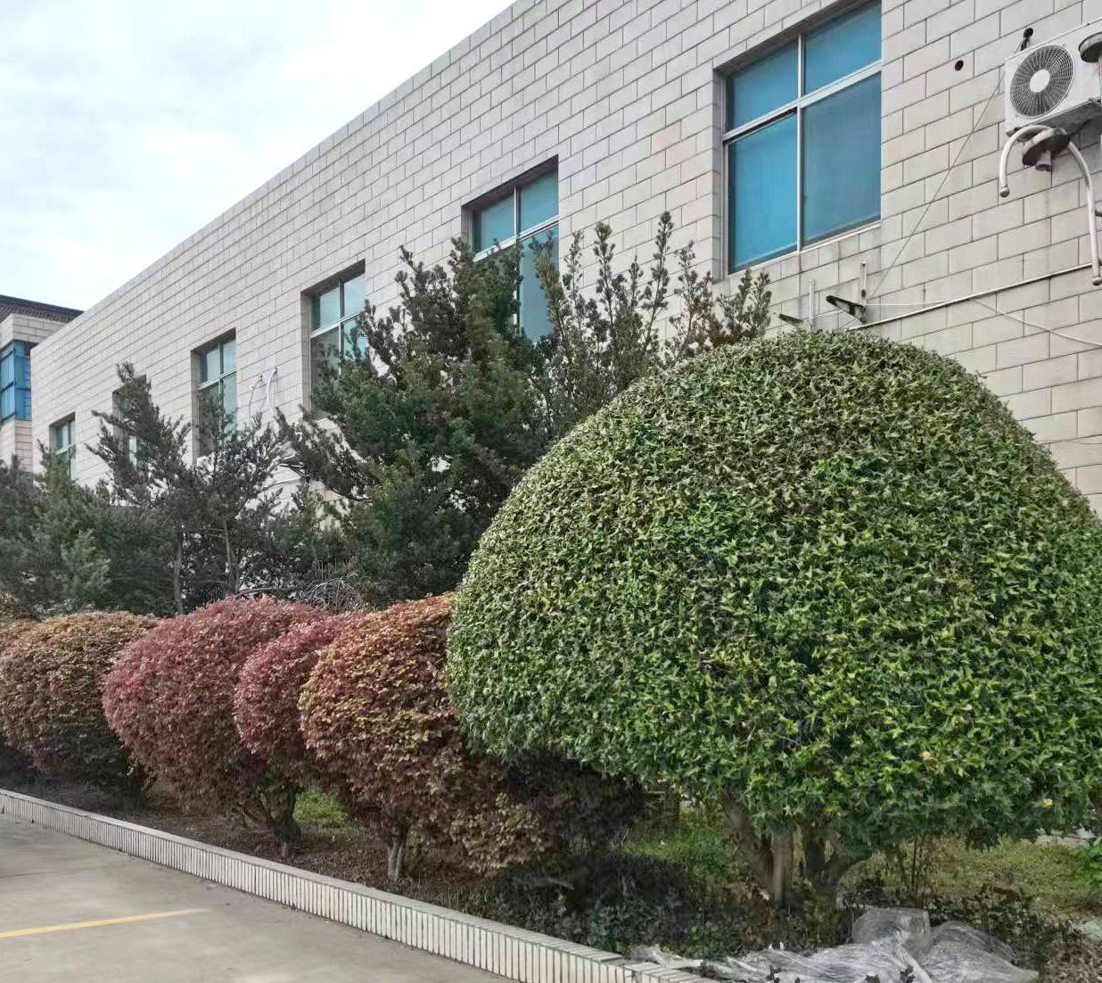 廠(chǎng)房廠貌